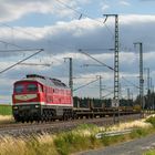  232 173 Triangula mit DGS 52631 Würzburg Zell-Pirna Gbf 