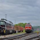 232 259-2 + 232 083-3 --EBS-- am 26.05.21 in Sennelager