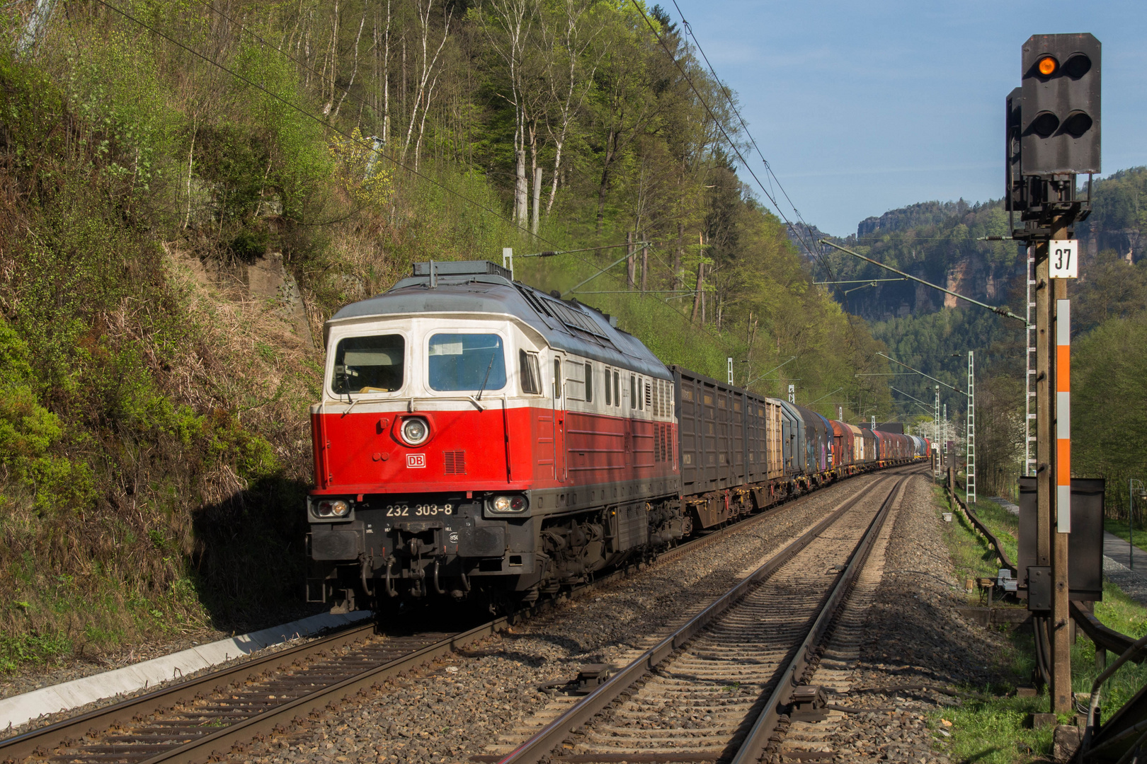 232 303 in Schmilka - Hirschmühle
