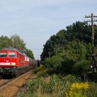 232 571-0 mit alten Lüftern und 232 531 bei Weißwasser