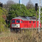 232 909 in Waren/Müritz