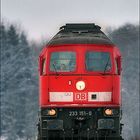 233 151-0 auf dem Weg vom Kraftwerk Zolling zum Bahnhof Langenbach