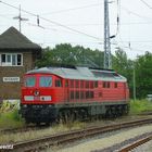 233 151 bei der Einfahrt in den Bahnhof Wismar