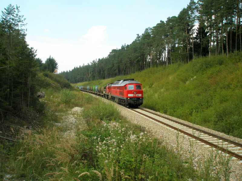 233 + 294 und Müllzug