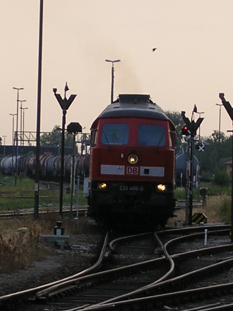 233 486 am 16.06.2006