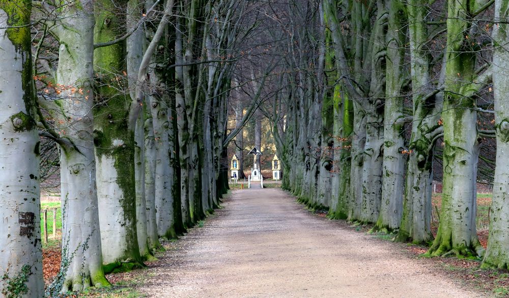 23333 Allee Chaloensvoetpad, Valkenburg, Niederlande