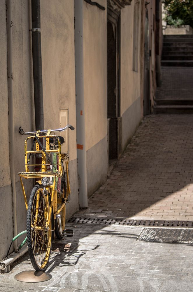 vélos et vélocipèdes de Zabou256