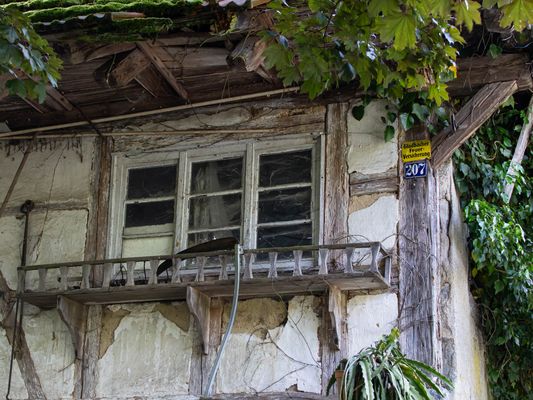 23/52 Hauptsache gut versichert!