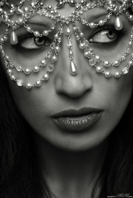 #236 °b°a°c°a°t°u°s°