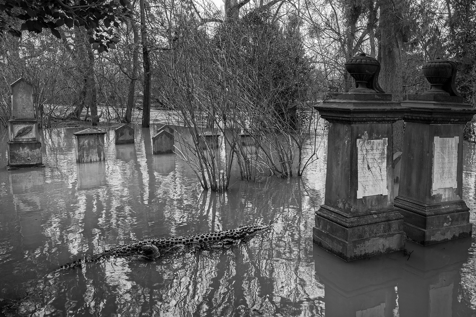 2368UZ Friedhof im Hochwasser mit Krokodil Rinteln SW