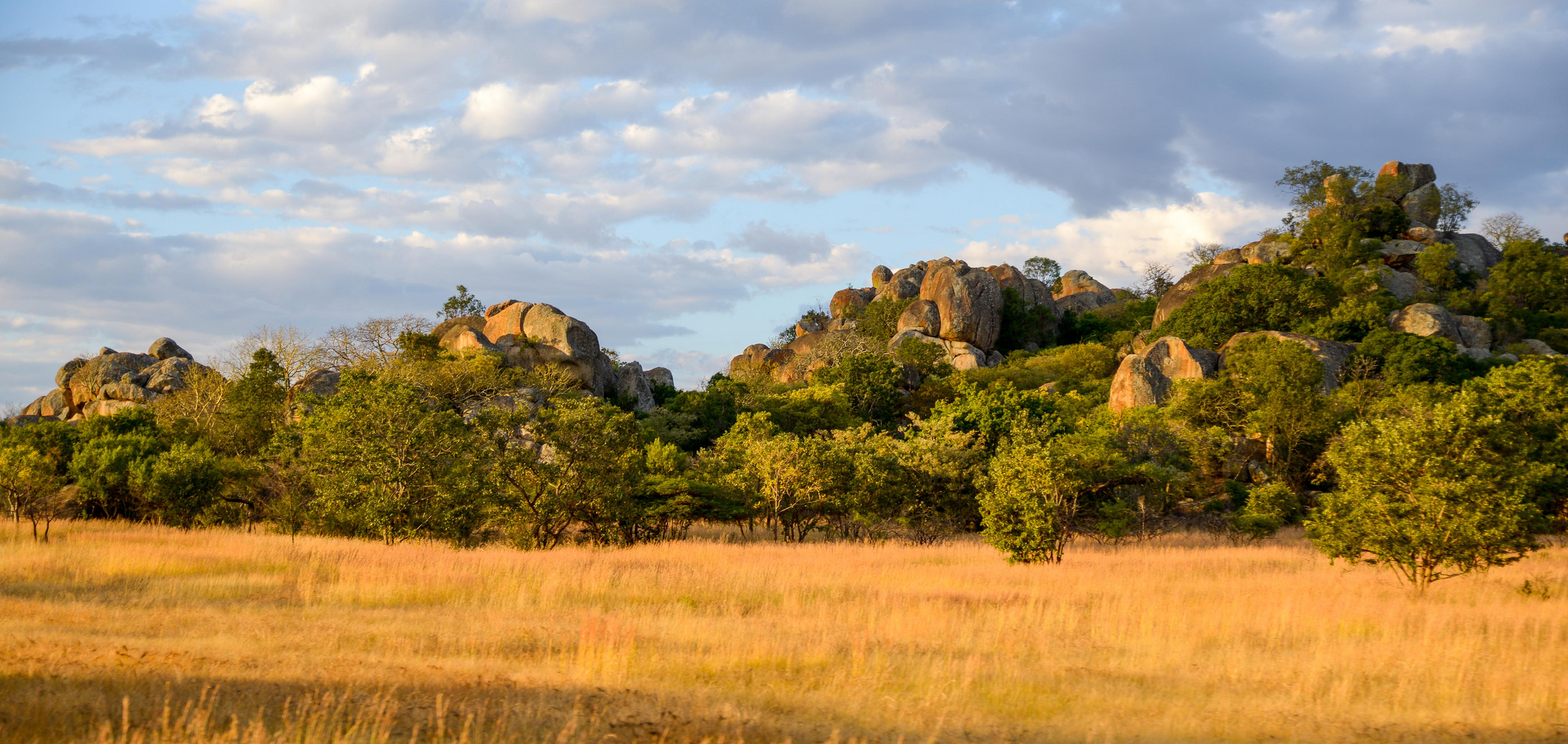 2371_2016-05-15_17.04.18_Zimbabwe_NIKON D800