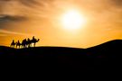 Sand Sahara Sonnenuntergang von fklegien