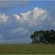 Wolken - Freunde der Landwirte