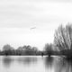 Hochwasser am Rhein 2