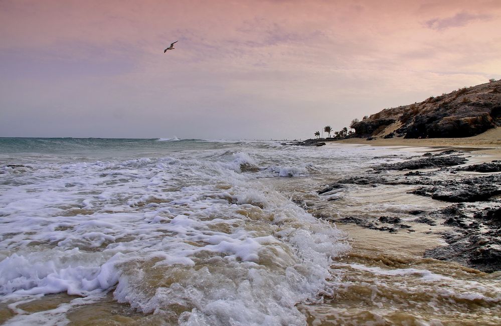 Fuerteventura von Nadine NH 