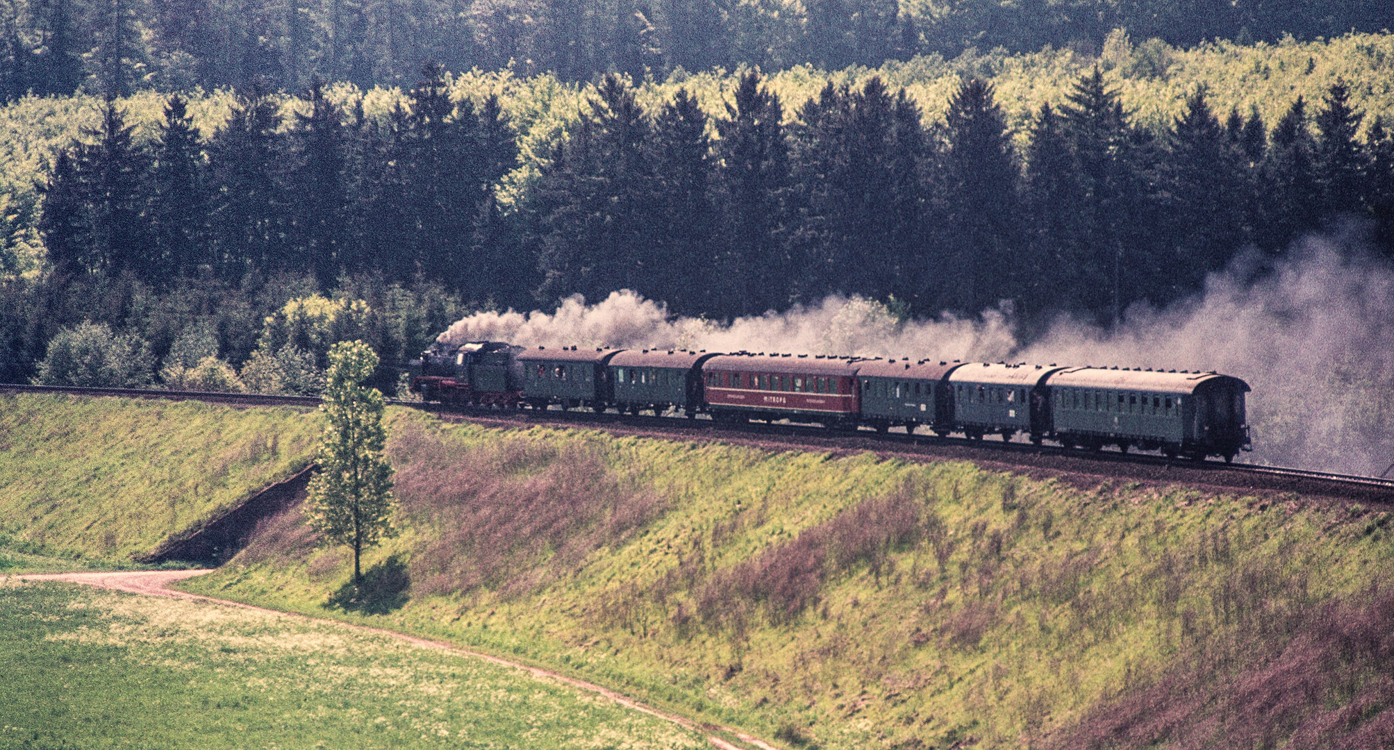  24 009 auf der Odenwaldbahn