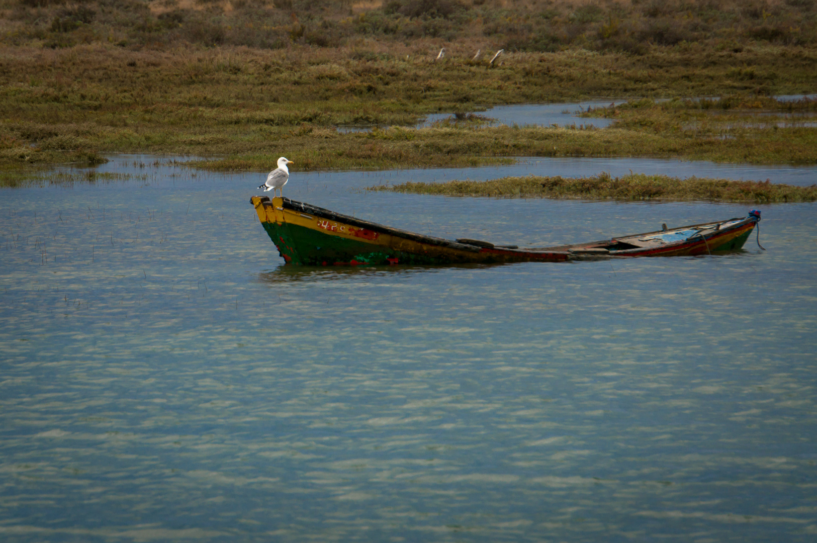 24 Portugal2013 Parque Natural da Ria Formosa