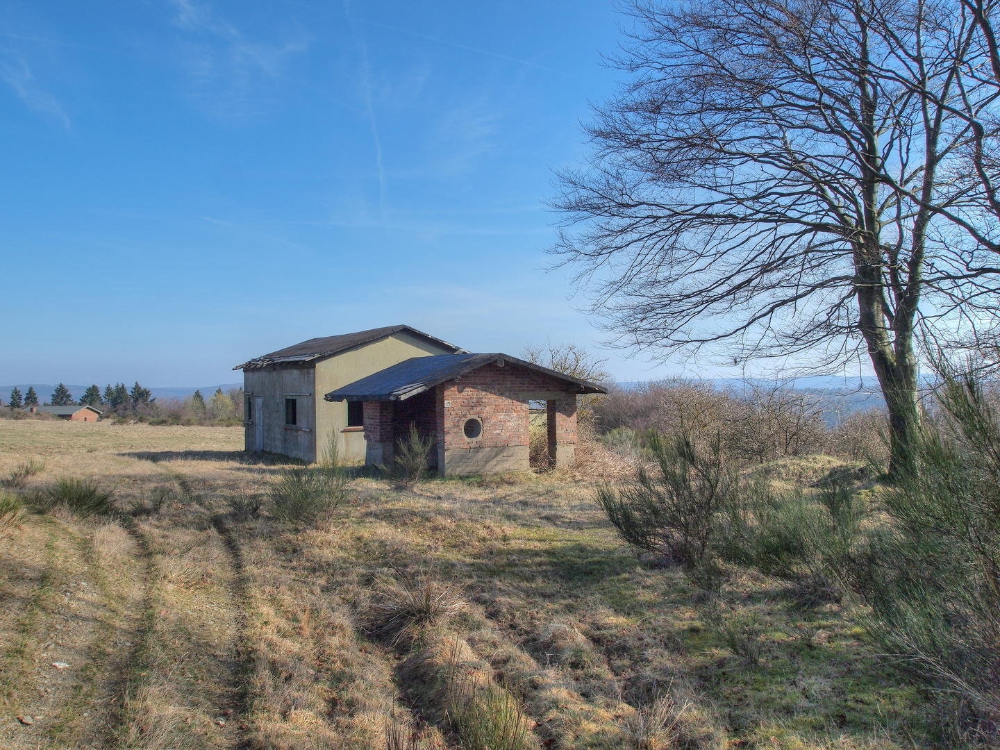 24.03.2011 10:41 Uhr - Eifel -