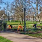 24.03.2020, es ist Frühling im Stadtpark von Kaiserslautern und keiner kann es genießen...