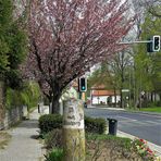 24.04.2020 Wie dazumal Stundensäule(13 km nach Münchberg)mitten in Gefrees