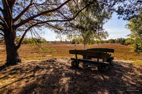 240914/05 Nemitzer Heide