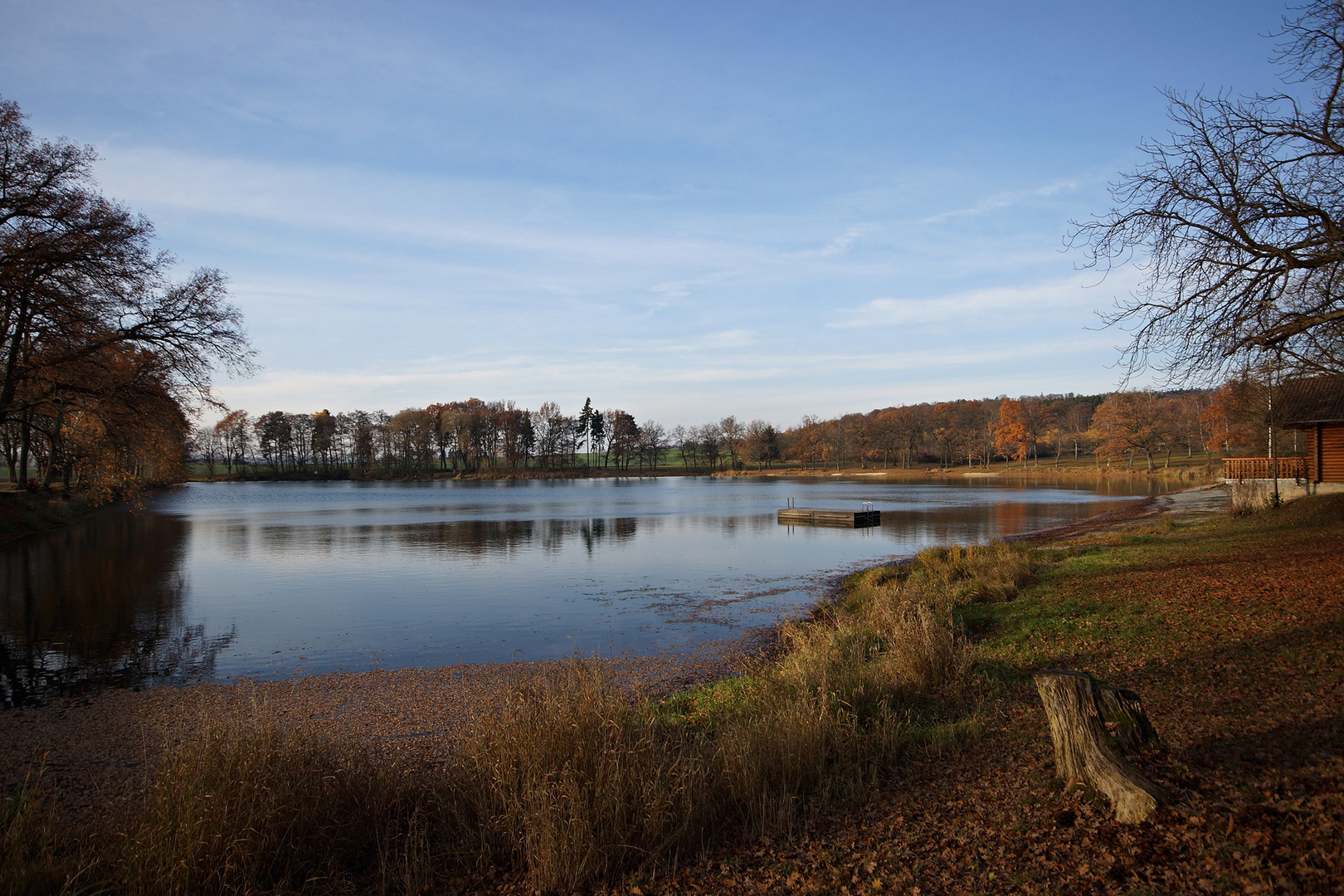 24.11. an meinem Lieblingssee