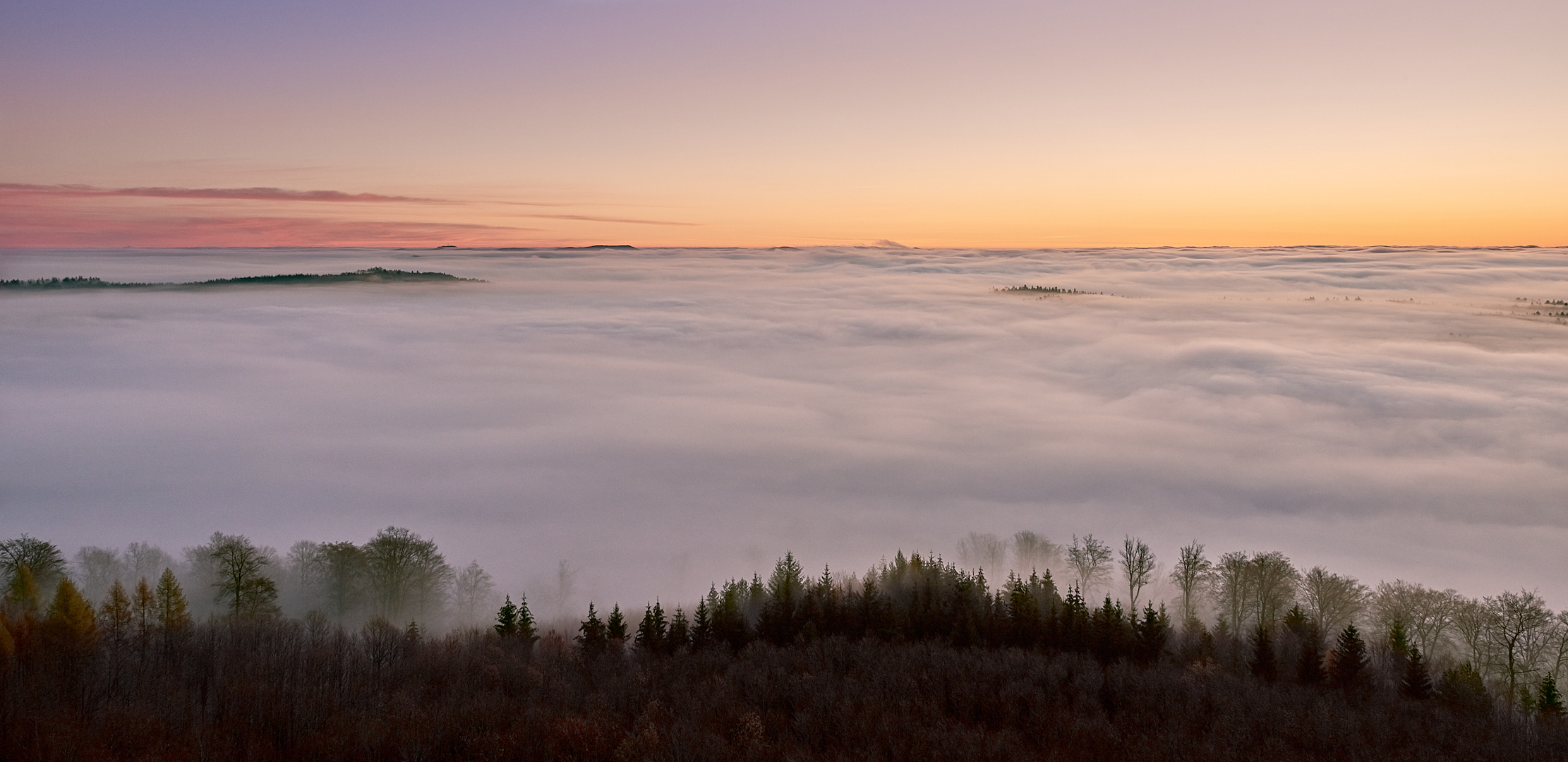 24.11.20 um 7 Uhr 30, die Pfalz ein Nebelmeer, 0 Grad schöner kann der Tag nicht beginnen. 