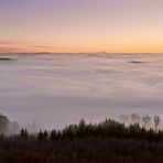 24.11.20 um 7 Uhr 30, die Pfalz ein Nebelmeer, 0 Grad schöner kann der Tag nicht beginnen. 