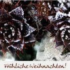 24.12. Heiligabend - Frohe Weihnachten!