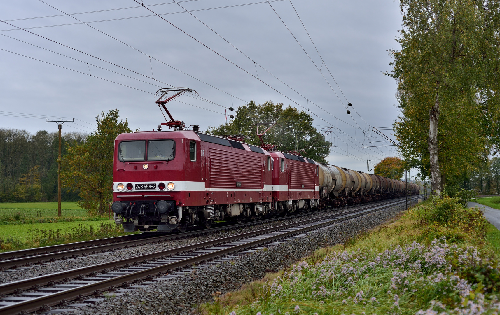 243 559-2 + 243 650-9 --Delta Rail-- am 21.10.17 bei Hamm-Lerche