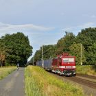 243 972-7 --DeltaRail-- am 30.07.18 in Hamm-Lerche