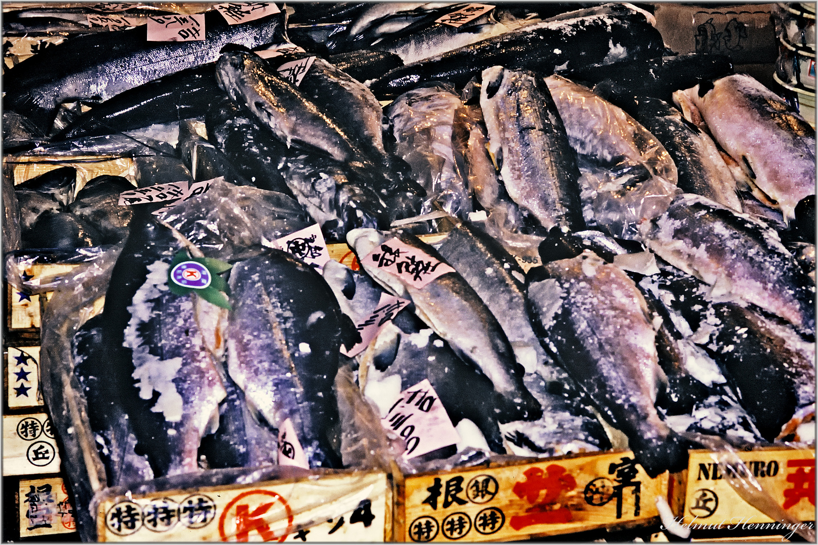 2436 Tokio 92-Fischhalle 