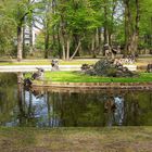 24.4.2019 Hofgarten Bayreuth in Frühjahrsstimmung