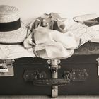 24/52 Bon Voyage