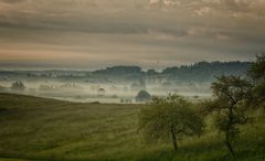 24/52 Sonntag Morgenidylle