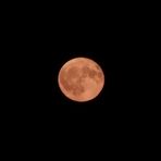 24/52 Strawberry Moon