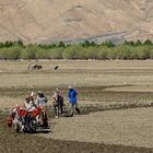 246 - Between Shigatse and Gyantse (Tibet) - Agricultural Workers