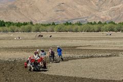 246 - Between Shigatse and Gyantse (Tibet) - Agricultural Workers