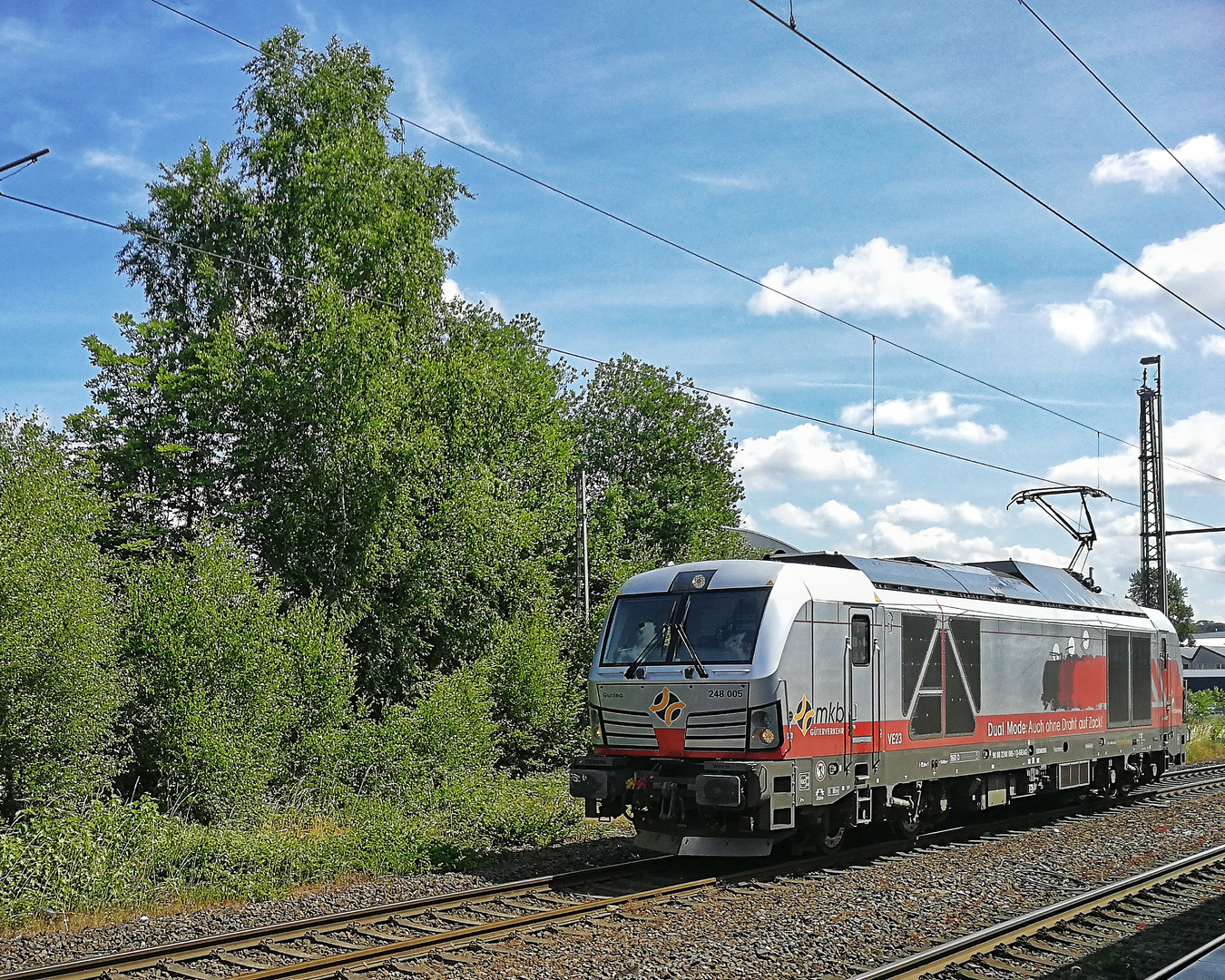 248 005 - Guntea