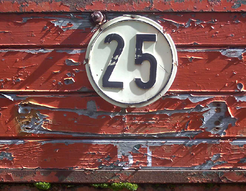 25