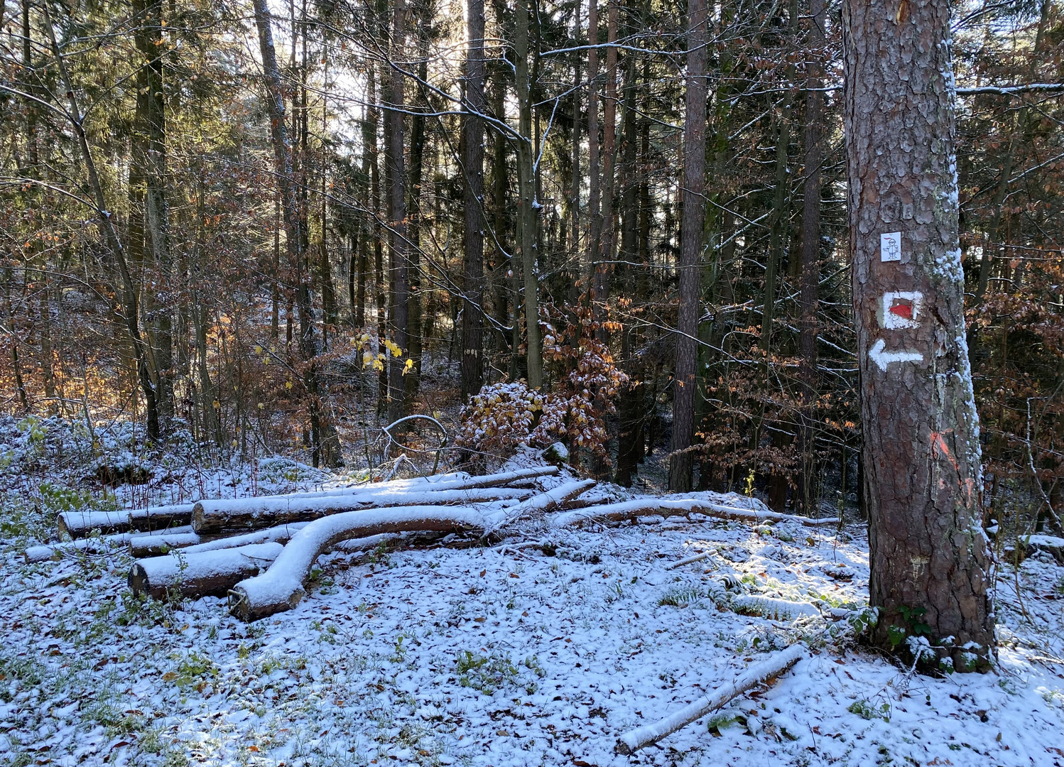 (25) Der erste richtige Schnee diesen Winter - ein wunderschöner Sonntagmorgen-Spaziergang