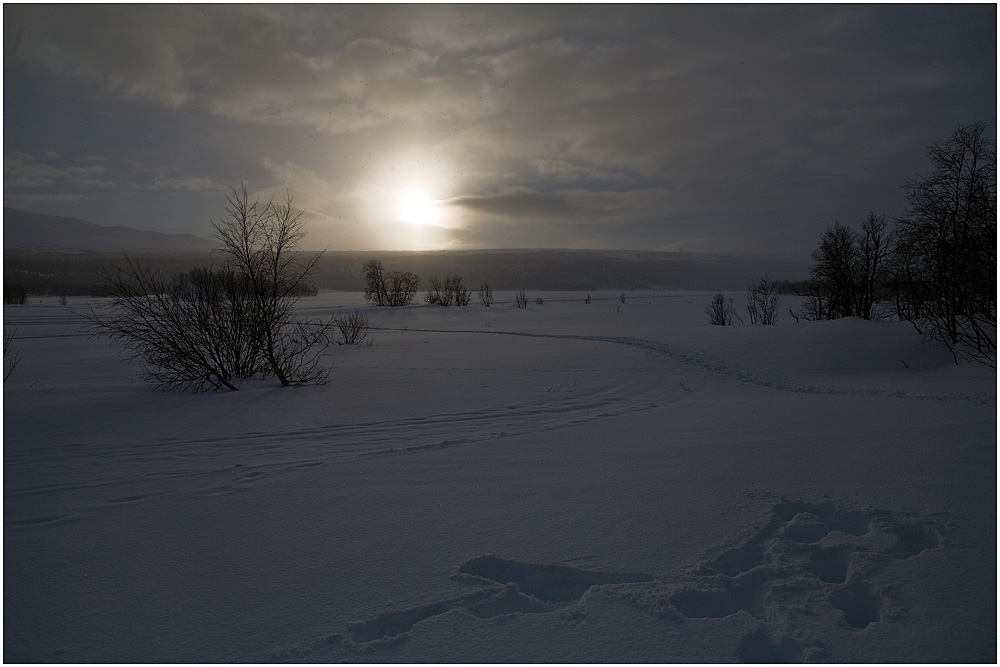 -25 Grad - Schneefall und Sonnenschein