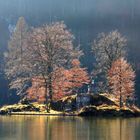 25. November am Königsee