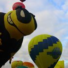 25. WARSTEINER INTERNATIONALE MONTGOLFIADE / Die Wespe aus Brasilien.