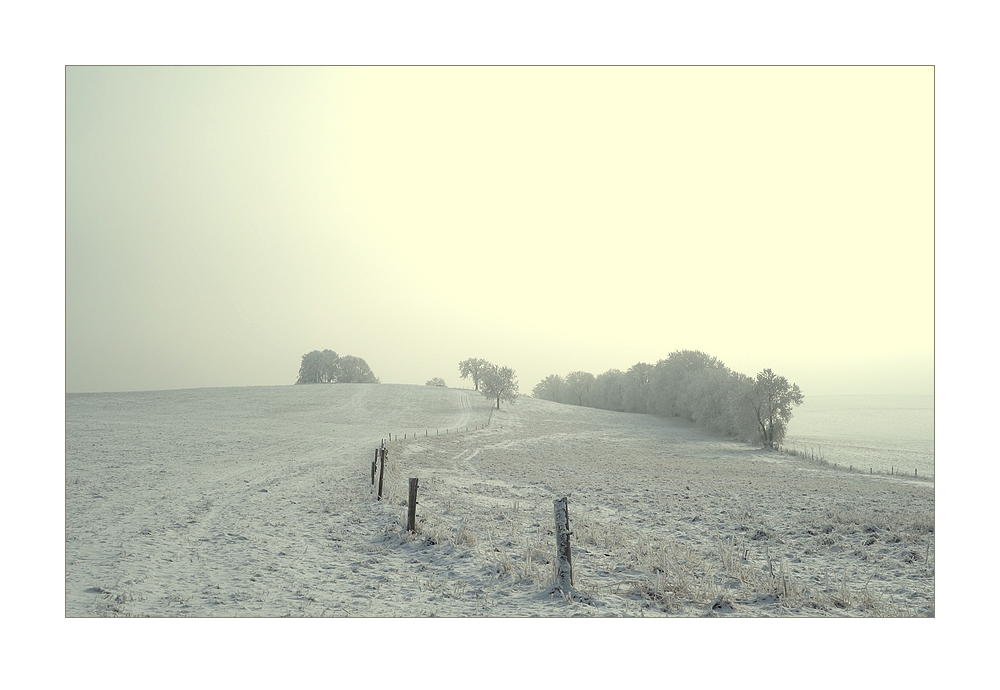 25.01.2014 Erzgebirge