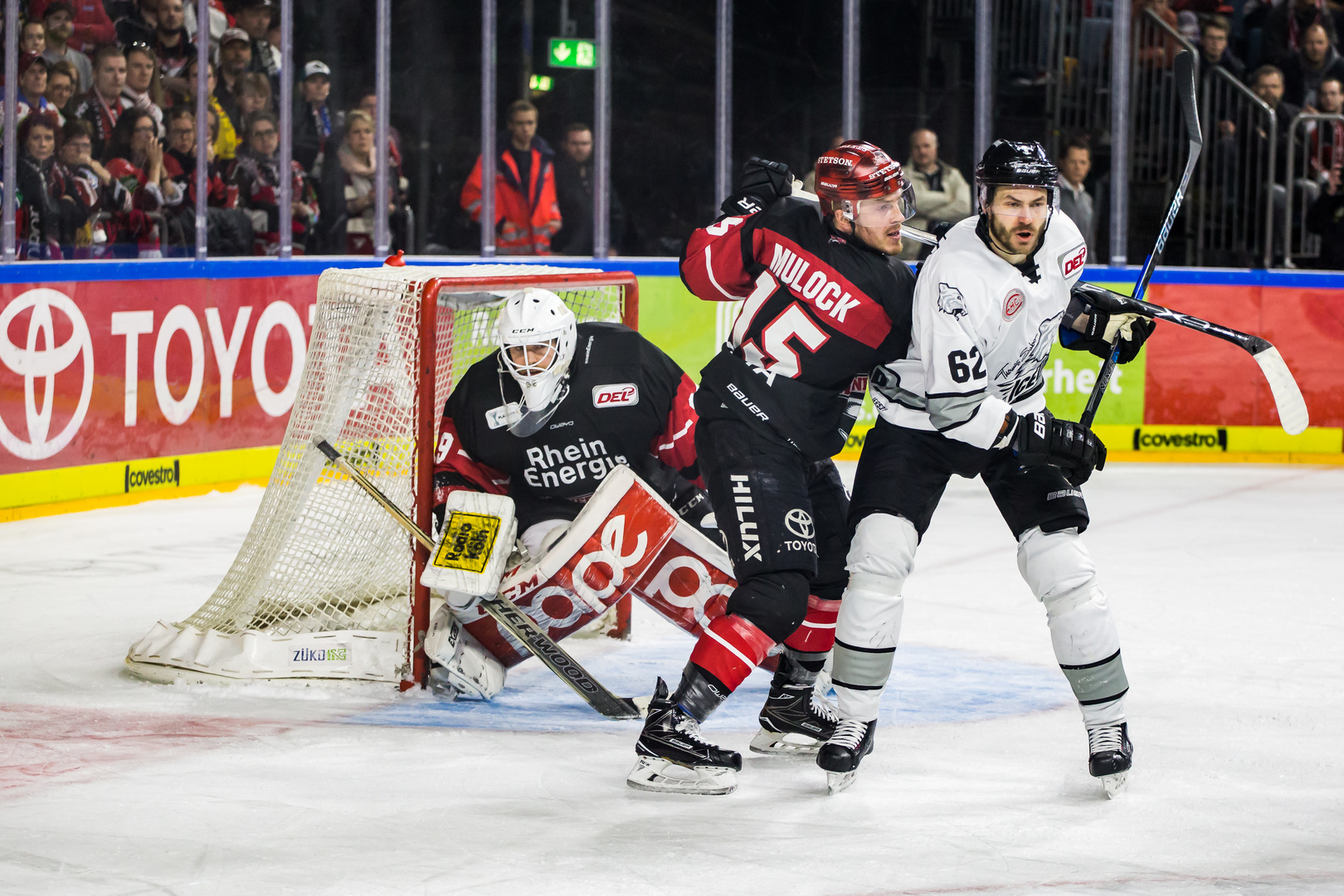 25.03.2018 - Kölner Haie vs. Ice Tigers 