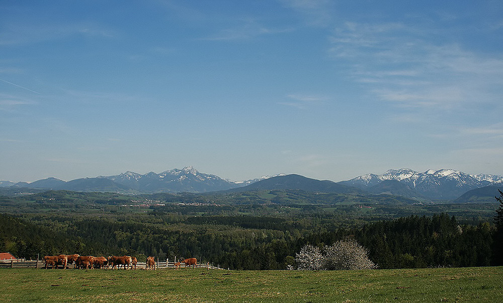 25.04.09 - "Feel the Alps..." - zu Füßen der Bergwelt