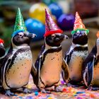 25.04.2023 - Heute ist Welt-Pinguin-Tag