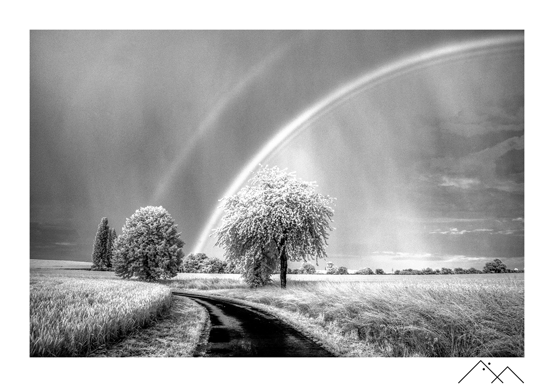 25062022_Regenbogen