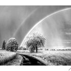 25062022_Regenbogen